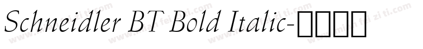 Schneidler BT Bold Italic字体转换